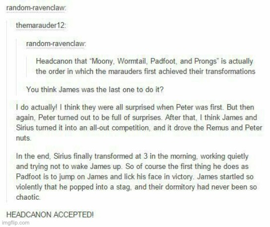 Found on Pinterest | image tagged in pinterest,marauders,james,sirius black,remus,wormtail | made w/ Imgflip meme maker