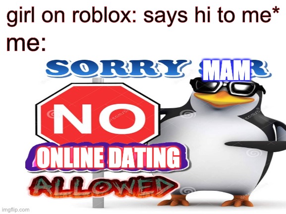 NO ONLINE DATING | me:; girl on roblox: says hi to me*; MAM; ONLINE DATING | image tagged in online dating | made w/ Imgflip meme maker