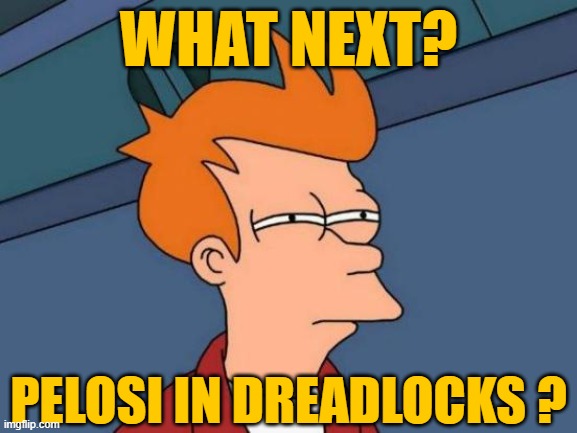 Futurama Fry Meme | WHAT NEXT? PELOSI IN DREADLOCKS ? | image tagged in memes,futurama fry | made w/ Imgflip meme maker