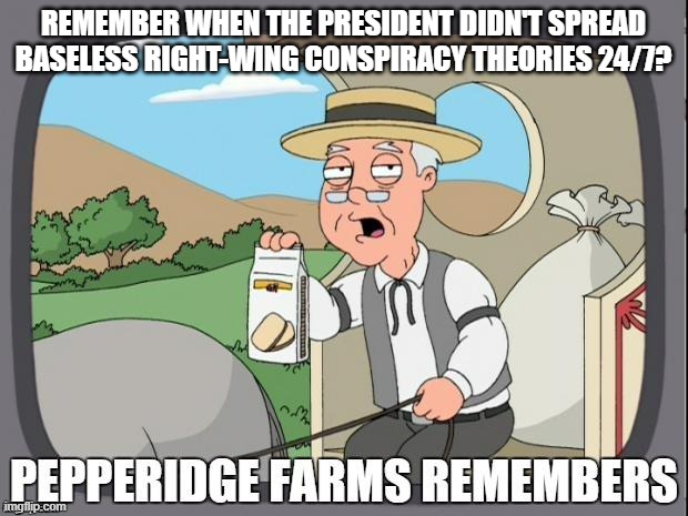 Crazier every day. | REMEMBER WHEN THE PRESIDENT DIDN'T SPREAD BASELESS RIGHT-WING CONSPIRACY THEORIES 24/7? | image tagged in pepperidge farms remembers | made w/ Imgflip meme maker
