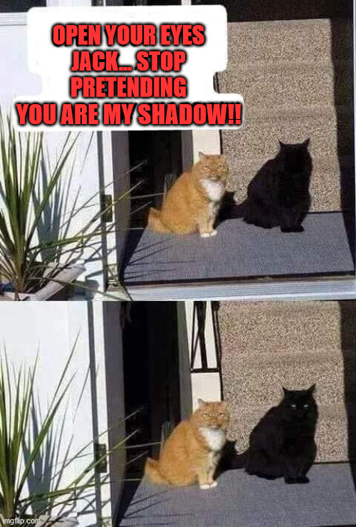 Me and my shadow | OPEN YOUR EYES
JACK... STOP
PRETENDING; YOU ARE MY SHADOW!! | image tagged in cats | made w/ Imgflip meme maker