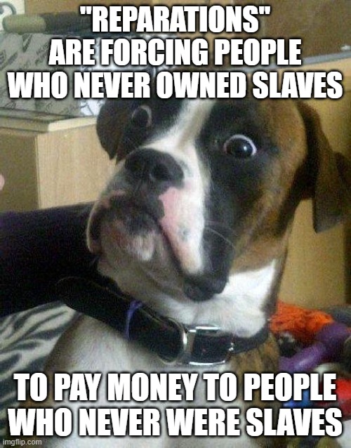 Surprised Dog | "REPARATIONS" ARE FORCING PEOPLE WHO NEVER OWNED SLAVES TO PAY MONEY TO PEOPLE WHO NEVER WERE SLAVES | image tagged in surprised dog | made w/ Imgflip meme maker