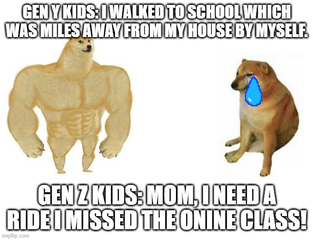 Ok Boomer | GEN Y KIDS: I WALKED TO SCHOOL WHICH WAS MILES AWAY FROM MY HOUSE BY MYSELF. GEN Z KIDS: MOM, I NEED A RIDE I MISSED THE ONINE CLASS! | image tagged in strong doge weak doge | made w/ Imgflip meme maker