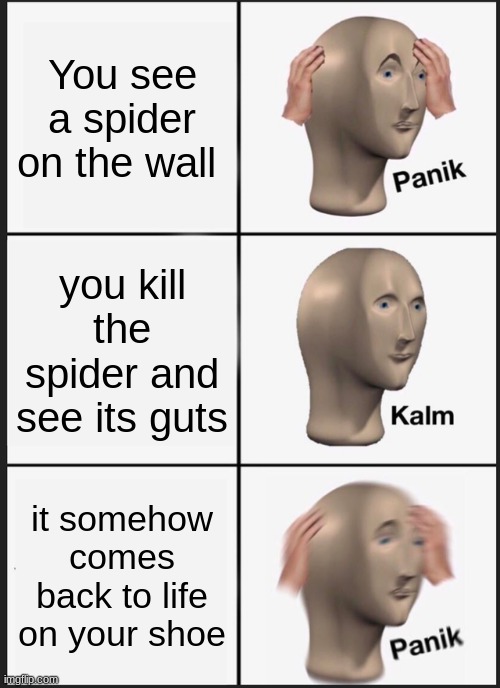 this happened to me the other day | You see a spider on the wall; you kill the spider and see its guts; it somehow comes back to life on your shoe | image tagged in memes,panik kalm panik | made w/ Imgflip meme maker