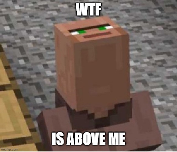 Minecraft Villager Looking Up | WTF; IS ABOVE ME | image tagged in minecraft villager looking up | made w/ Imgflip meme maker