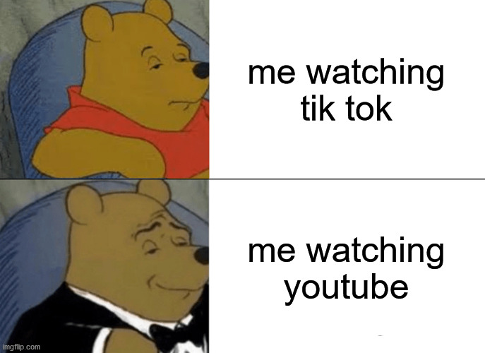 Tuxedo Winnie The Pooh | me watching tik tok; me watching youtube | image tagged in memes,tuxedo winnie the pooh | made w/ Imgflip meme maker