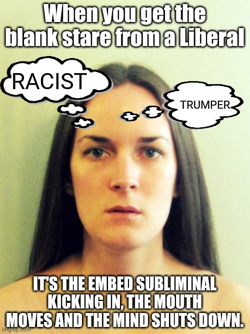 Liberal blank stare | When you get the blank stare from a Liberal; RACIST; TRUMPER; IT'S THE EMBED SUBLIMINAL KICKING IN, THE MOUTH MOVES AND THE MIND SHUTS DOWN. | image tagged in embed subliminal,liberal,blank stare | made w/ Imgflip meme maker