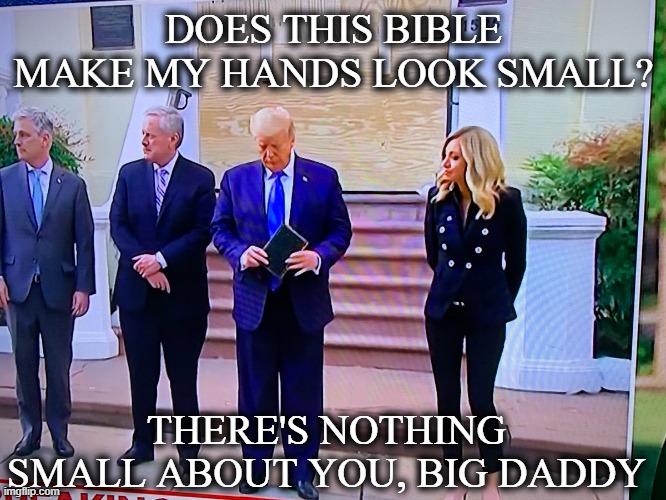 DOES THIS BIBLE MAKE MY HANDS LOOK SMALL? THERE'S NOTHING SMALL ABOUT YOU, BIG DADDY | image tagged in donald trump | made w/ Imgflip meme maker