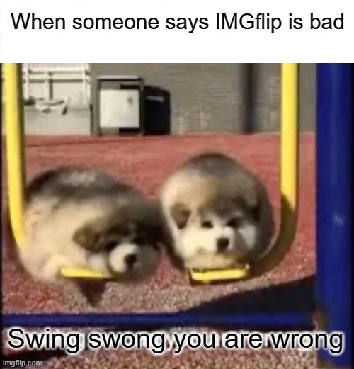 SWING SWONG YOU ARE WRONG | When someone says IMGflip is bad; Swing swong you are wrong | image tagged in swing swong you are wrong | made w/ Imgflip meme maker