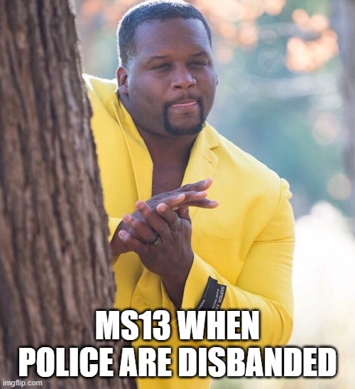 Black guy hiding behind tree | MS13 WHEN POLICE ARE DISBANDED | image tagged in black guy hiding behind tree | made w/ Imgflip meme maker