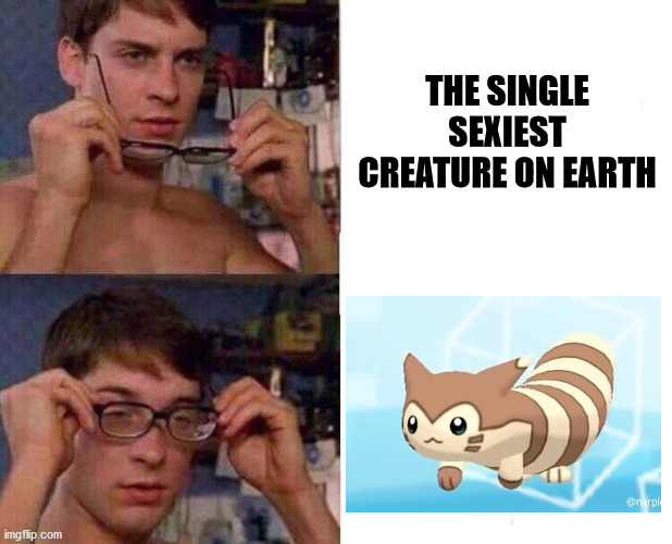 Yee | THE SINGLE SEXIEST CREATURE ON EARTH | image tagged in spiderman glasses,memes,furret | made w/ Imgflip meme maker