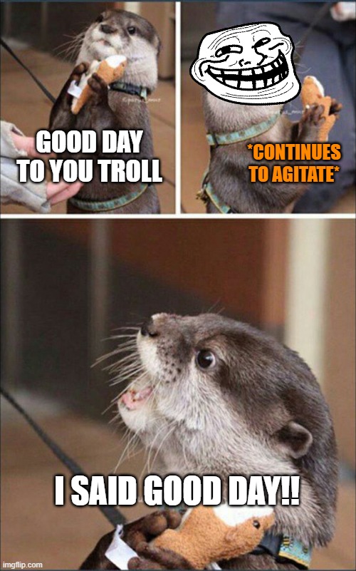 How to properly handle trolls | GOOD DAY TO YOU TROLL; *CONTINUES TO AGITATE*; I SAID GOOD DAY!! | image tagged in i said good day sir otter,trolls,bepositive,good day | made w/ Imgflip meme maker