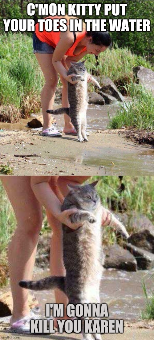 SHE IS GONNA MAKE THAT KITTY MAD | C'MON KITTY PUT YOUR TOES IN THE WATER; I'M GONNA KILL YOU KAREN | image tagged in cats,funny cats | made w/ Imgflip meme maker