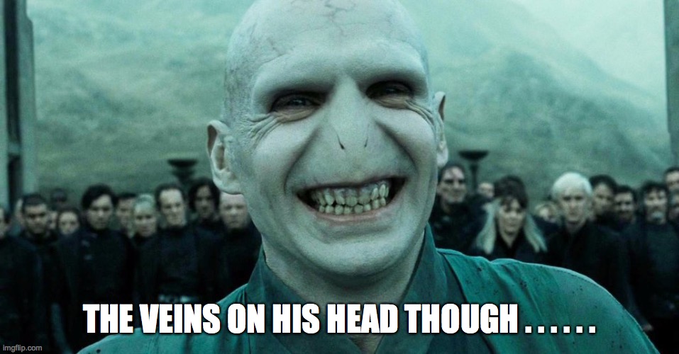 Savage Harry Potter joke | THE VEINS ON HIS HEAD THOUGH . . . . . . | image tagged in savage harry potter joke | made w/ Imgflip meme maker