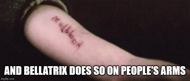 AND BELLATRIX DOES SO ON PEOPLE'S ARMS | made w/ Imgflip meme maker