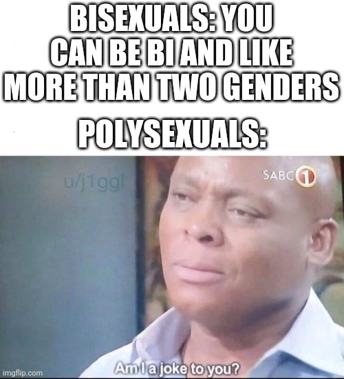 am I a joke to you | BISEXUALS: YOU CAN BE BI AND LIKE MORE THAN TWO GENDERS; POLYSEXUALS: | image tagged in am i a joke to you | made w/ Imgflip meme maker