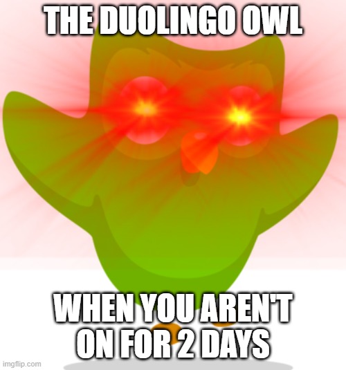 THE DUOLINGO OWL; WHEN YOU AREN'T ON FOR 2 DAYS | image tagged in duolingo bird | made w/ Imgflip meme maker