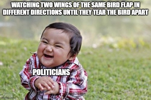 Evil Toddler Meme | WATCHING TWO WINGS OF THE SAME BIRD FLAP IN DIFFERENT DIRECTIONS UNTIL THEY TEAR THE BIRD APART; POLITICIANS | image tagged in memes,evil toddler,politicians,government,failure | made w/ Imgflip meme maker