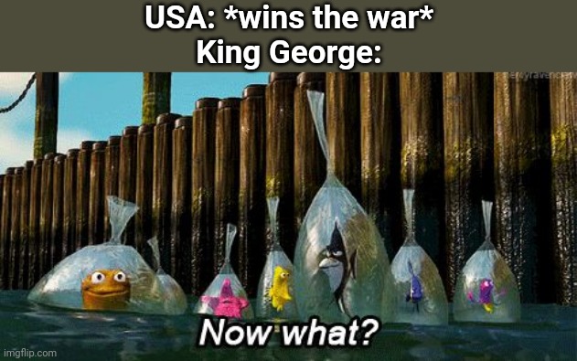 Now What? | USA: *wins the war*
King George: | image tagged in now what | made w/ Imgflip meme maker