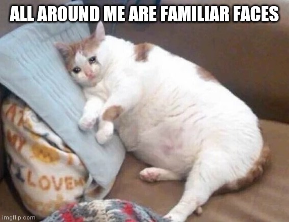 Fat Cat Crying | ALL AROUND ME ARE FAMILIAR FACES | image tagged in fat cat crying | made w/ Imgflip meme maker