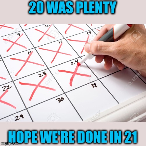 VIruses, masks, riots and racism | 20 WAS PLENTY; HOPE WE'RE DONE IN 21 | image tagged in calendar | made w/ Imgflip meme maker