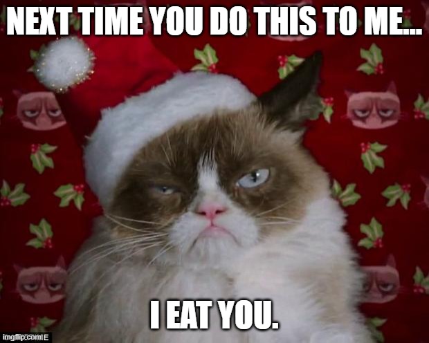 why you do this to meeee??? | NEXT TIME YOU DO THIS TO ME... I EAT YOU. | image tagged in grumpy cat christmas | made w/ Imgflip meme maker