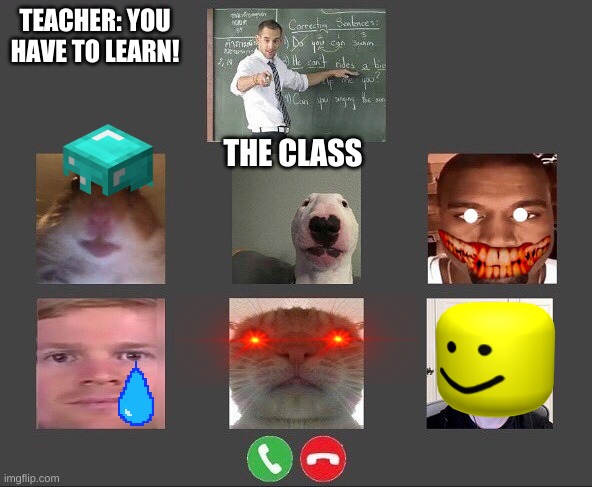Online class | TEACHER: YOU HAVE TO LEARN! THE CLASS | image tagged in online class | made w/ Imgflip meme maker