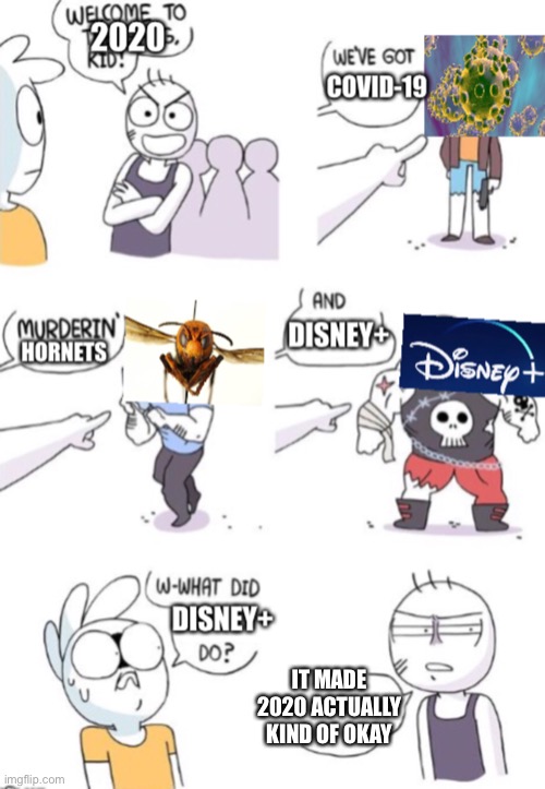 2020 would not be the same without Disney+ | IT MADE 2020 ACTUALLY KIND OF OKAY | image tagged in crimes johnson,covid-19,disney plus,memes | made w/ Imgflip meme maker