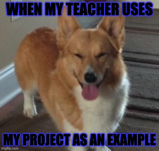Smiling Corgi | WHEN MY TEACHER USES; MY PROJECT AS AN EXAMPLE | image tagged in mischievous corgi | made w/ Imgflip meme maker