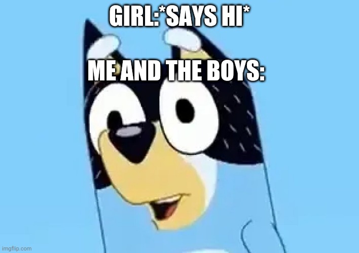 Bandit | GIRL:*SAYS HI*; ME AND THE BOYS: | image tagged in bandit | made w/ Imgflip meme maker