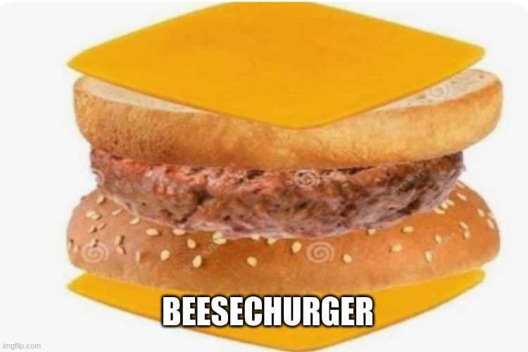 Beesechurger | BEESECHURGER | image tagged in b e s e c h u r g e r | made w/ Imgflip meme maker