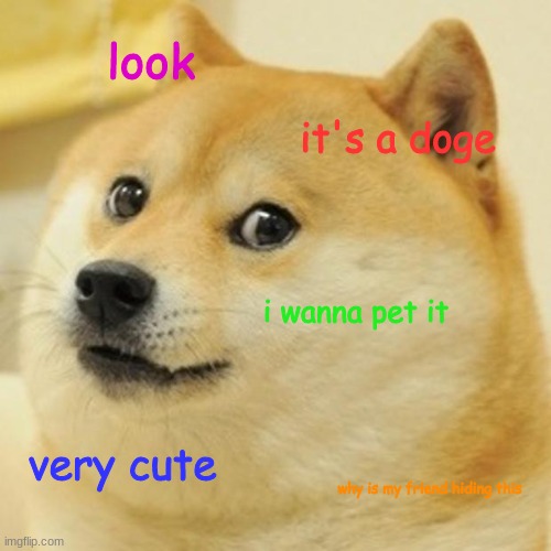 Doge | look; it's a doge; i wanna pet it; very cute; why is my friend hiding this | image tagged in memes,doge | made w/ Imgflip meme maker