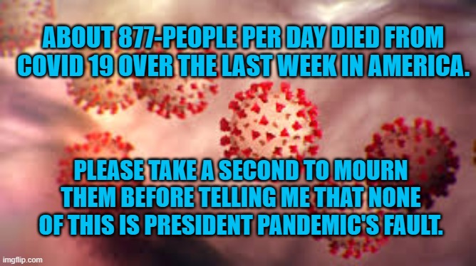 President Pandemic Takes No Blame | ABOUT 877-PEOPLE PER DAY DIED FROM COVID 19 OVER THE LAST WEEK IN AMERICA. PLEASE TAKE A SECOND TO MOURN THEM BEFORE TELLING ME THAT NONE OF THIS IS PRESIDENT PANDEMIC'S FAULT. | image tagged in politics | made w/ Imgflip meme maker