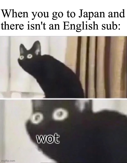 wot | When you go to Japan and there isn't an English sub:; wot | image tagged in oh no black cat | made w/ Imgflip meme maker