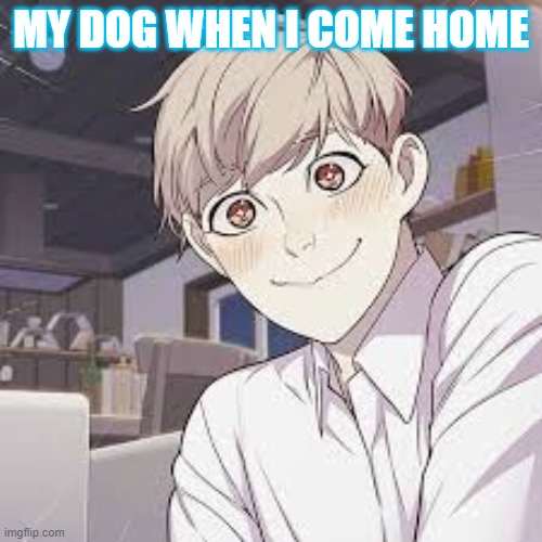 your loyal dog | MY DOG WHEN I COME HOME | image tagged in memes | made w/ Imgflip meme maker