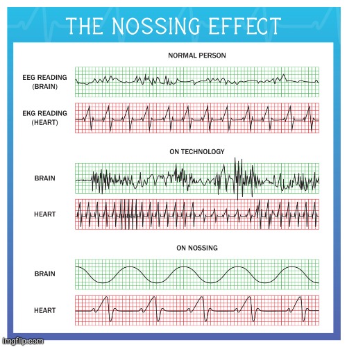 Nossing Effect | image tagged in nossing effect | made w/ Imgflip meme maker