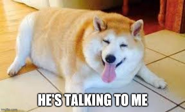 Thicc Doggo | HE'S TALKING TO ME | image tagged in thicc doggo | made w/ Imgflip meme maker