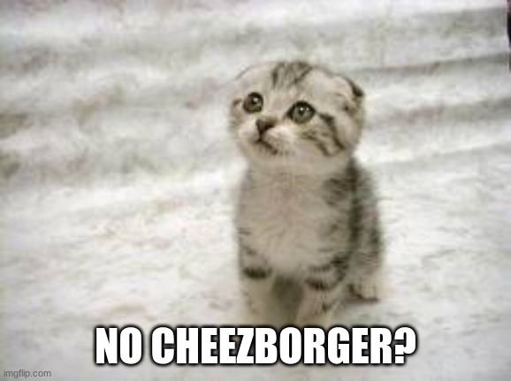 Sad Cat Meme | NO CHEEZBORGER? | image tagged in memes,sad cat | made w/ Imgflip meme maker