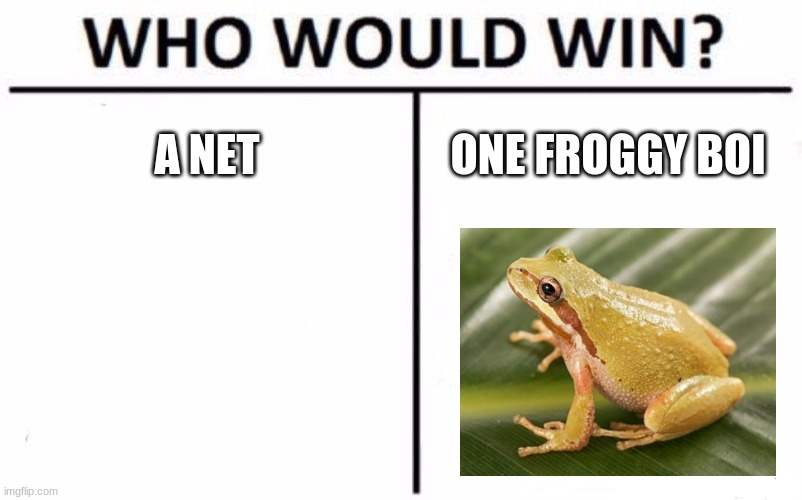 Who Would Win? | A NET; ONE FROGGY BOI | image tagged in memes,who would win | made w/ Imgflip meme maker