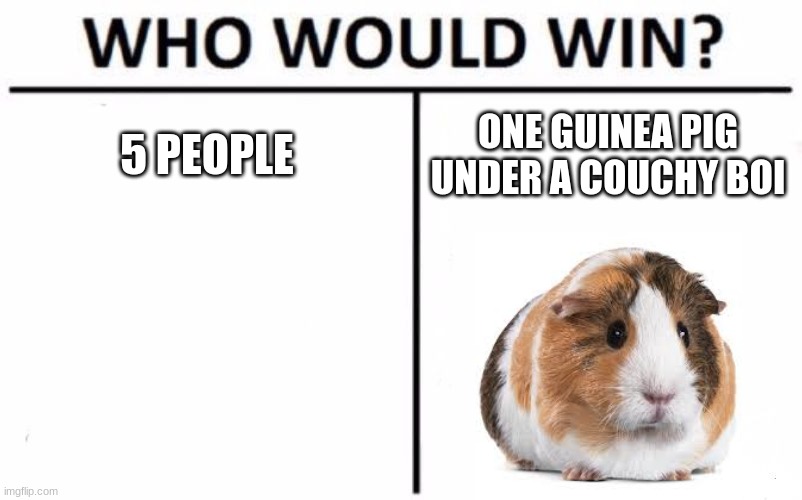 Who Would Win? | 5 PEOPLE; ONE GUINEA PIG UNDER A COUCHY BOI | image tagged in memes,who would win | made w/ Imgflip meme maker