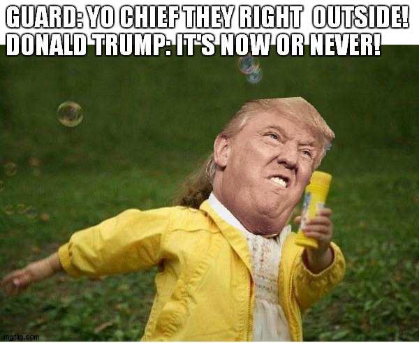 Chubby Bubbles Girl | GUARD: YO CHIEF THEY RIGHT  OUTSIDE!
DONALD TRUMP: IT'S NOW OR NEVER! | image tagged in memes,chubby bubbles girl | made w/ Imgflip meme maker