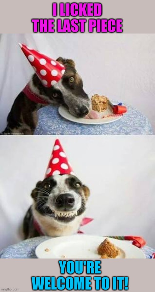 Cake dog  | I LICKED THE LAST PIECE YOU'RE WELCOME TO IT! | image tagged in cake dog | made w/ Imgflip meme maker