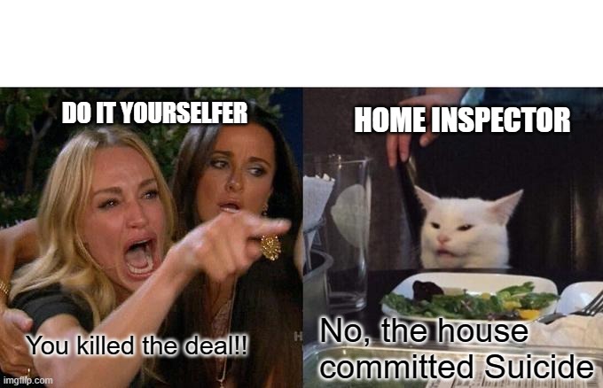 Woman Yelling At Cat | DO IT YOURSELFER; HOME INSPECTOR; No, the house committed Suicide; You killed the deal!! | image tagged in memes,woman yelling at cat | made w/ Imgflip meme maker