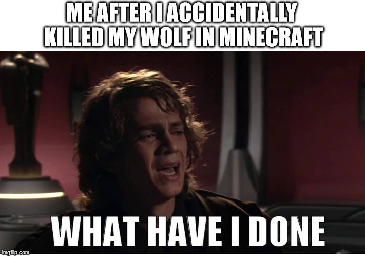 Anakin what have i done | ME AFTER I ACCIDENTALLY
 KILLED MY WOLF IN MINECRAFT | image tagged in anakin what have i done,star wars,anakin skywalker,minecraft,minecraft wolf,wolf | made w/ Imgflip meme maker