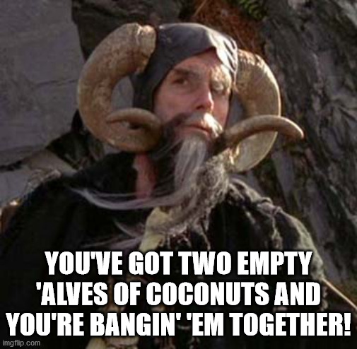 Tim the Enchanter - Monty Python | YOU'VE GOT TWO EMPTY 'ALVES OF COCONUTS AND YOU'RE BANGIN' 'EM TOGETHER! | image tagged in tim the enchanter - monty python | made w/ Imgflip meme maker