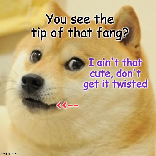 Tippy | You see the tip of that fang? I ain't that cute, don't get it twisted; <<-- | image tagged in memes,doge,cute,teeth,twisted | made w/ Imgflip meme maker