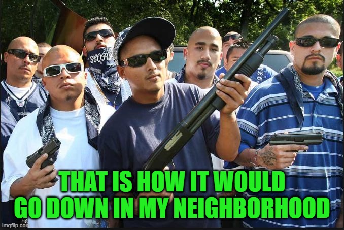 gangs | THAT IS HOW IT WOULD GO DOWN IN MY NEIGHBORHOOD | image tagged in gangs | made w/ Imgflip meme maker