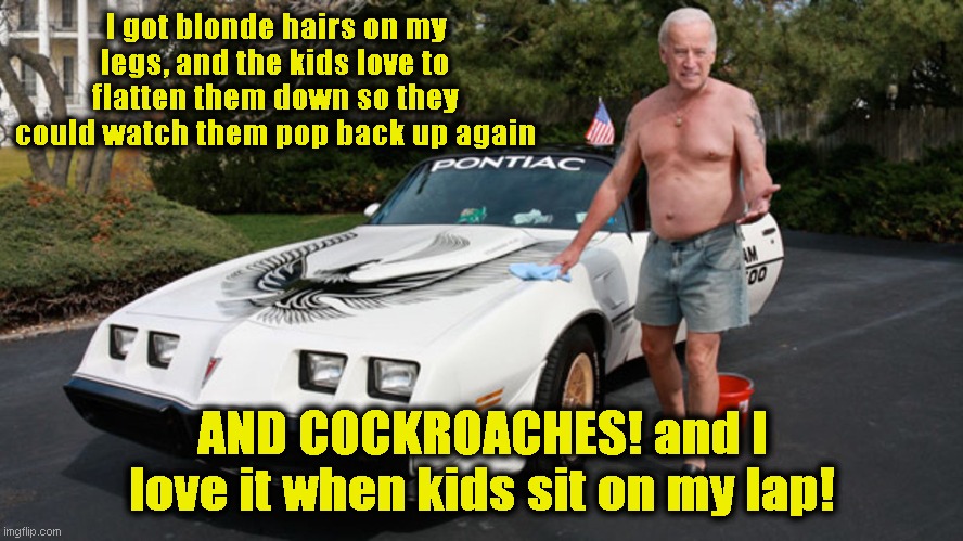 Where am I, who am I? | I got blonde hairs on my legs, and the kids love to flatten them down so they could watch them pop back up again; AND COCKROACHES! and I love it when kids sit on my lap! | image tagged in biden broom broom | made w/ Imgflip meme maker