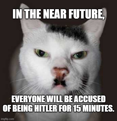 Nazi Cat | IN THE NEAR FUTURE, EVERYONE WILL BE ACCUSED OF BEING HITLER FOR 15 MINUTES. | image tagged in nazi cat | made w/ Imgflip meme maker