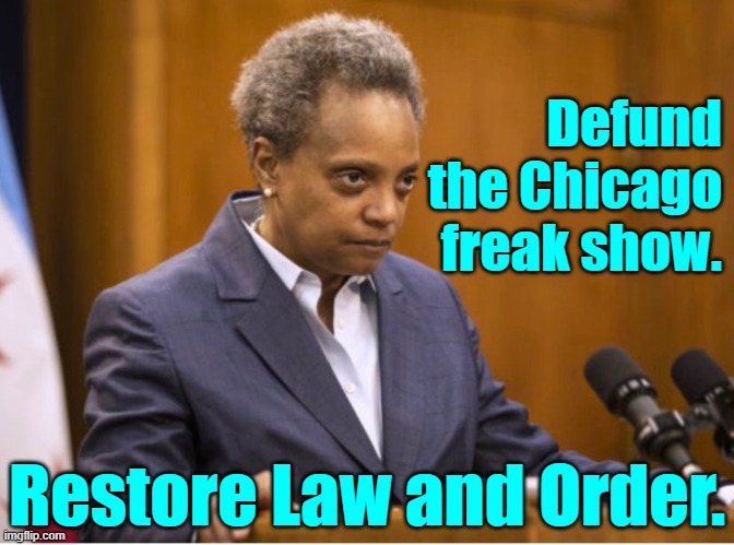 No thinking adult can defend Democrat mayors in 2020. | Defund the Chicago freak show. Restore Law and Order. | image tagged in chicago mayor lori lightfoot | made w/ Imgflip meme maker
